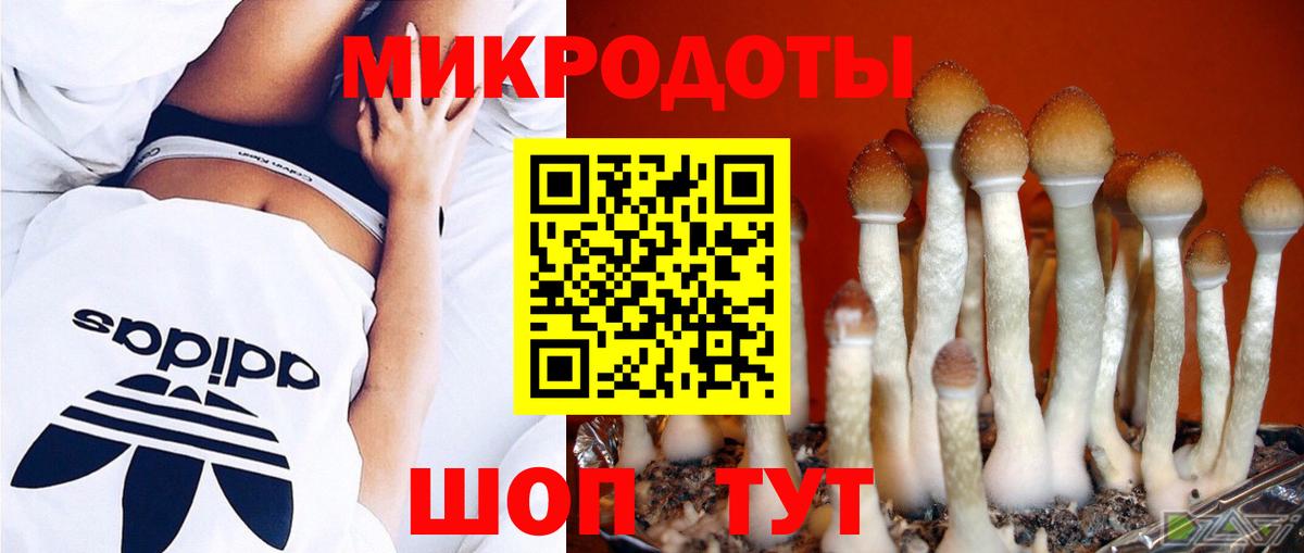 Псилоцибиновые грибы Psilocybine cubensis Вятские Поляны