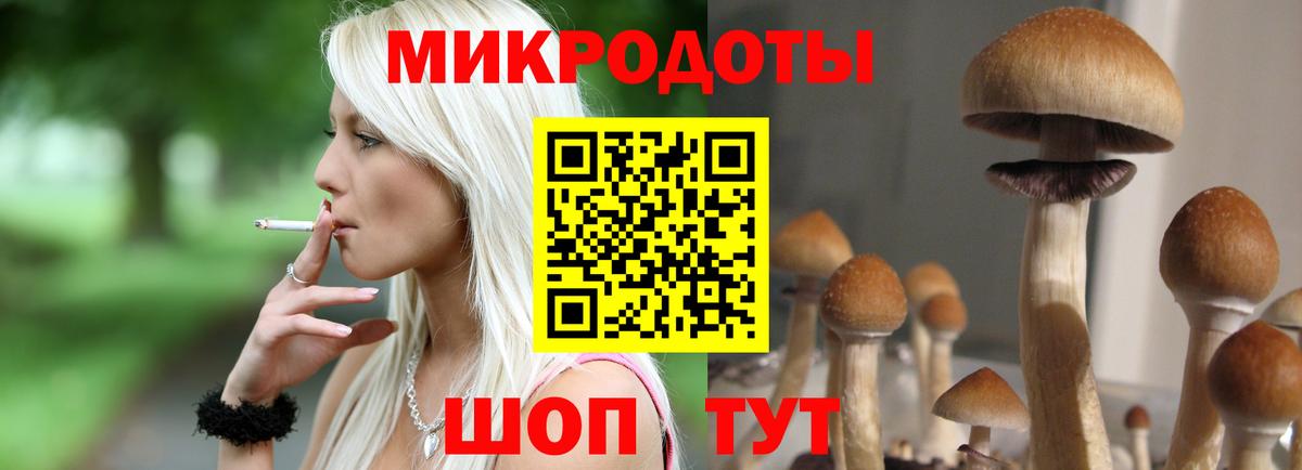 Галлюциногенные грибы Psilocybine cubensis  Галлюциногенные грибы ЛСД  Вятские Поляны  Вход с VPN 